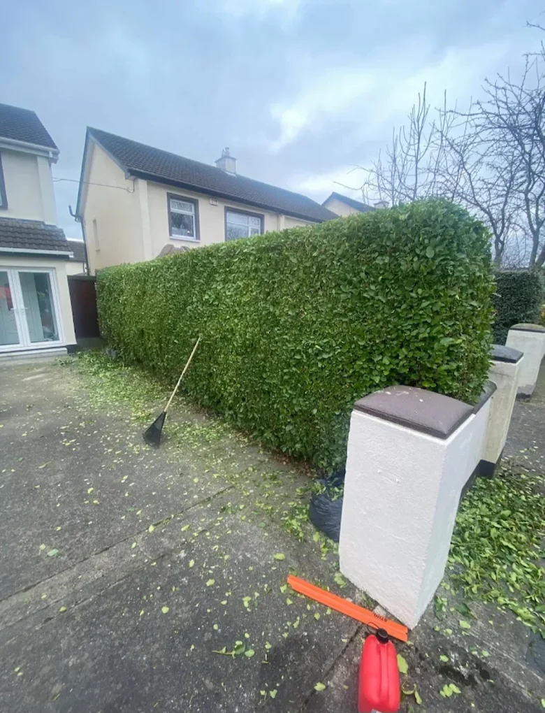 Hedge Care Galway